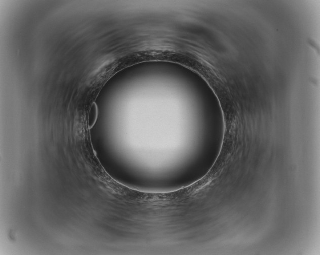 X0000099321014200805021309