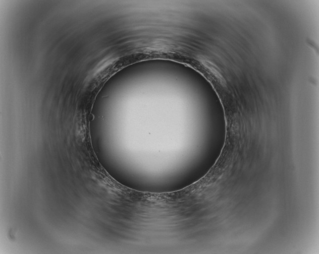 X0000099321015200805021309