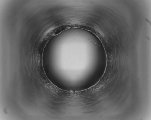 X0000099321016200805021309