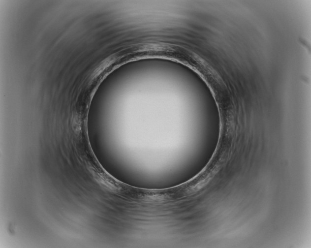 X0000099321017200805021309