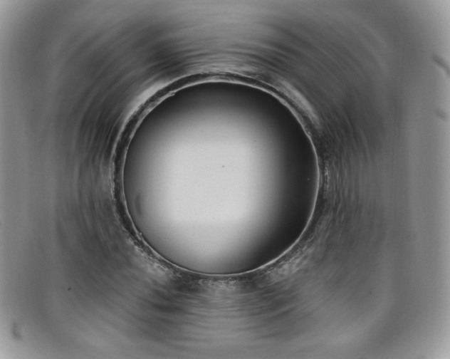 X0000099321020200805021309