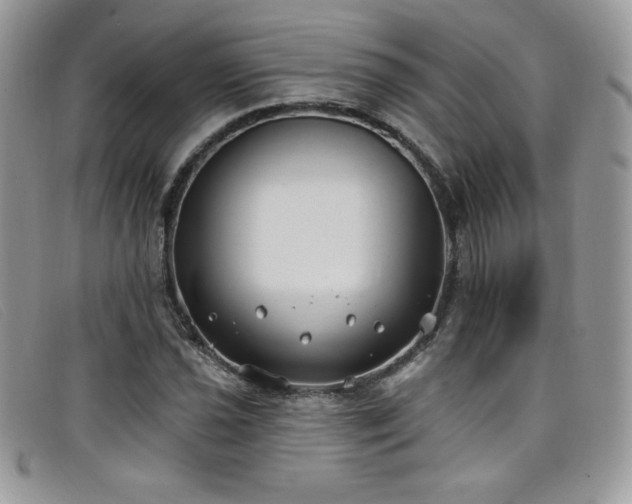 X0000099321021200805021309