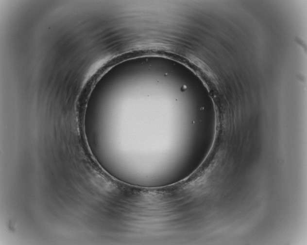 X0000099321022200805021309