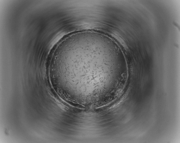 X0000099321023200805021309