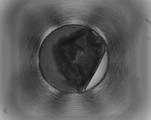 X0000099321024200805021309