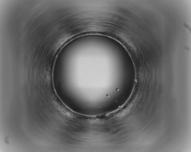 X0000099321025200805021309