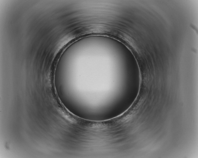 X0000099321026200805021309
