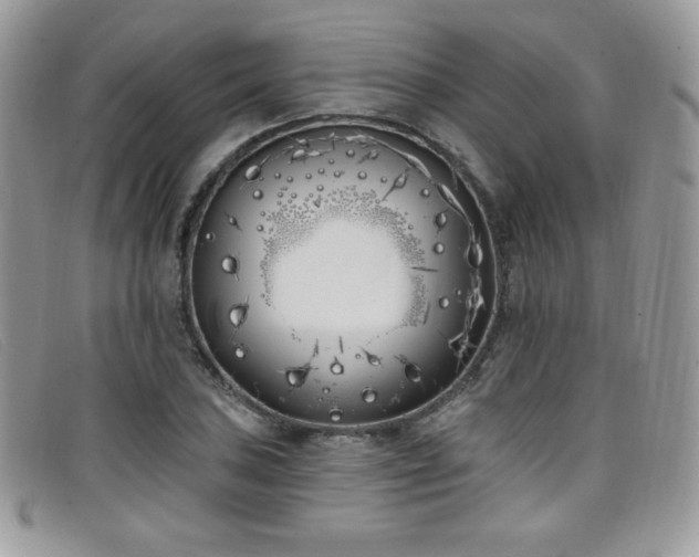 X0000099321027200805021309