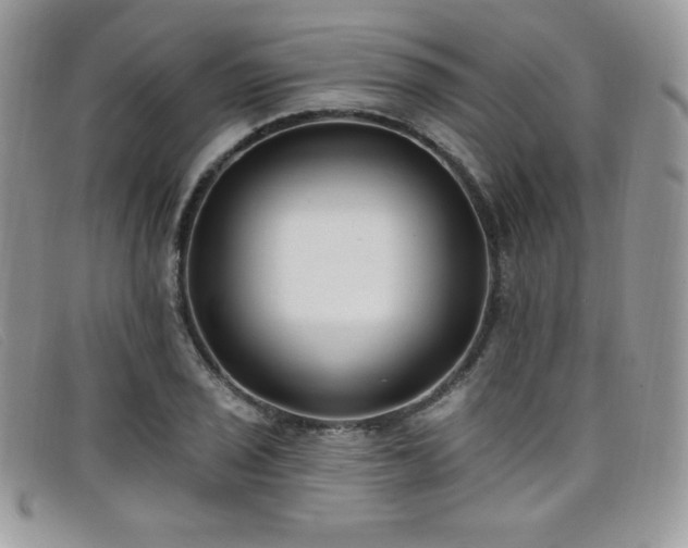 X0000099321029200805021309
