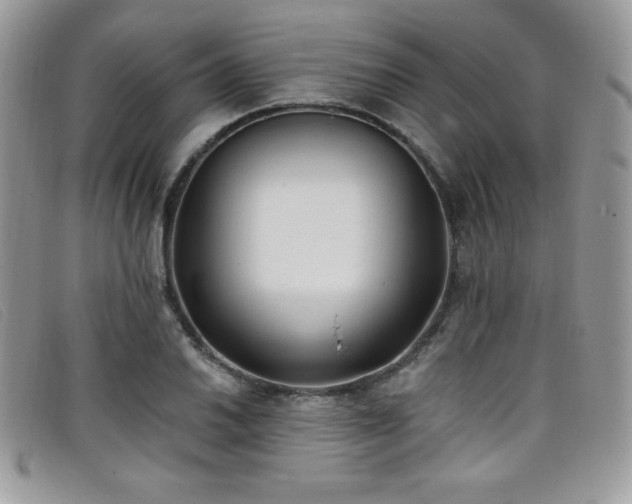 X0000099321030200805021309