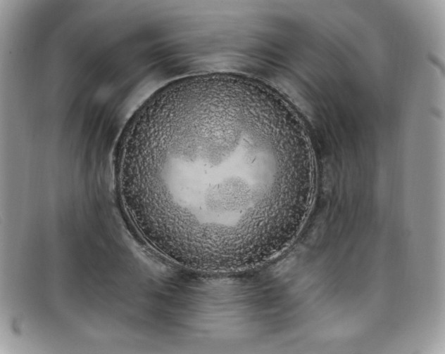 X0000099321031200805021309