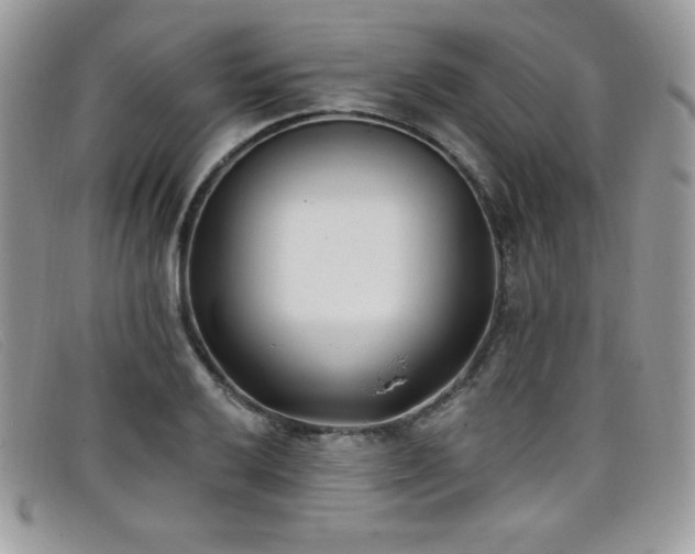 X0000099321032200805021309