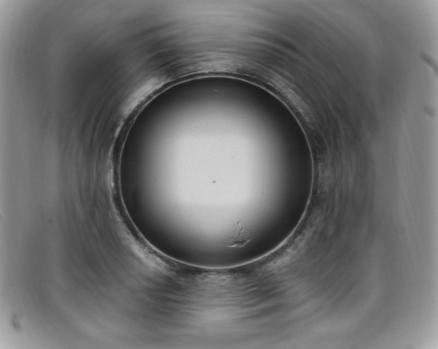 X0000099321034200805021309