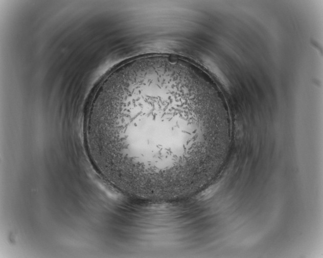 X0000099321035200805021309