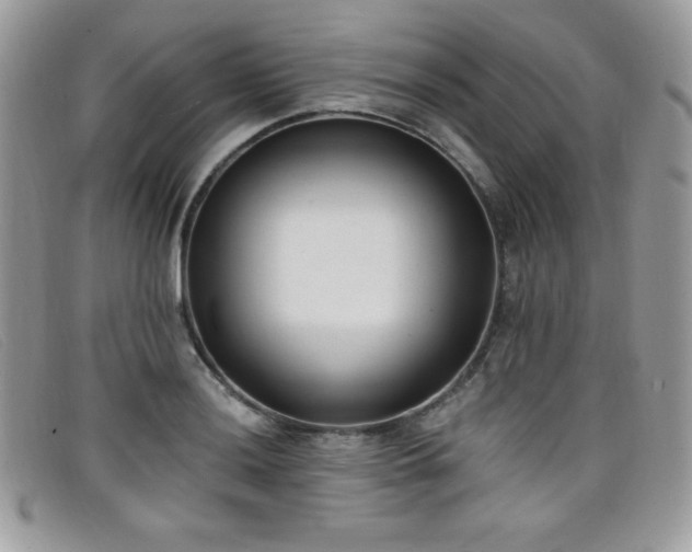 X0000099321036200805021309