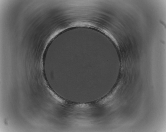 X0000099321037200805021309