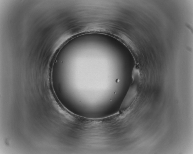 X0000099321038200805021309