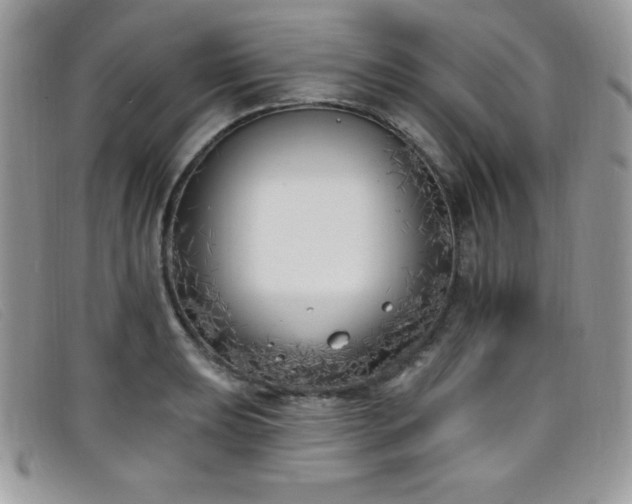X0000099321039200805021309