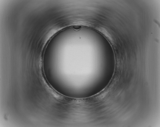 X0000099321040200805021309