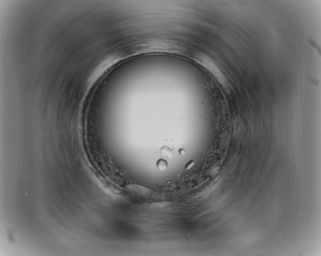 X0000099321043200805021309