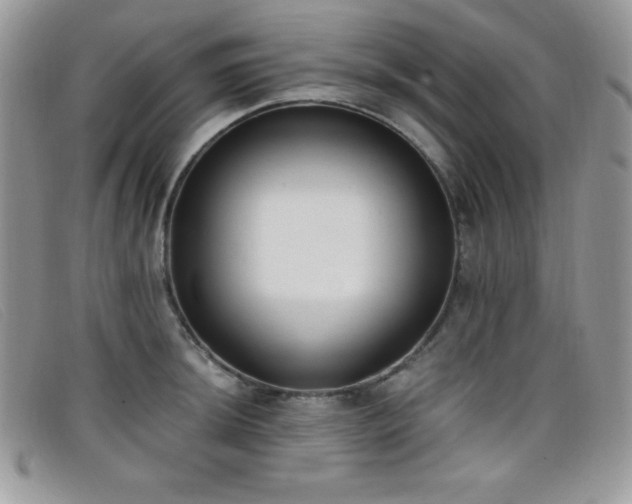 X0000099321044200805021309