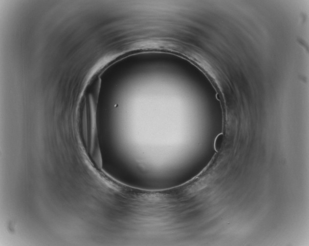 X0000099321045200805021309