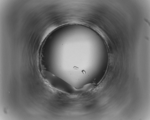 X0000099321048200805021309