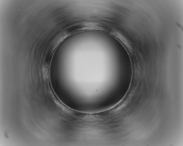 X0000099321049200805021309