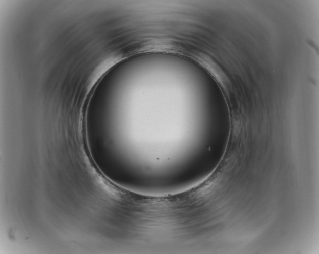 X0000099321050200805021309