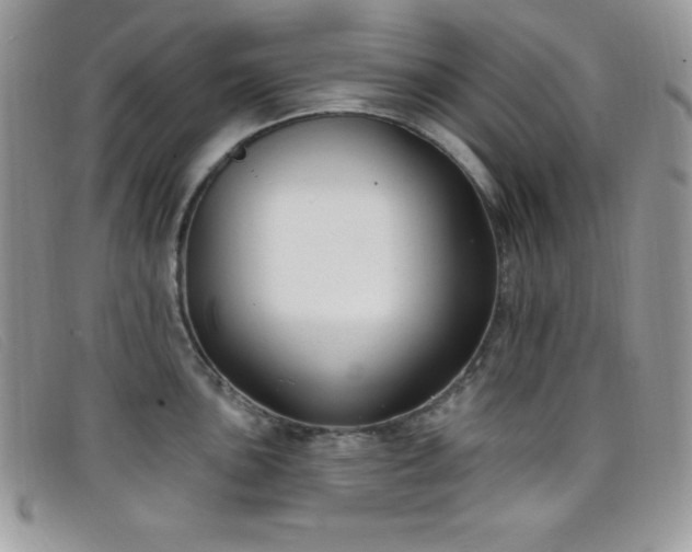 X0000099321051200805021309