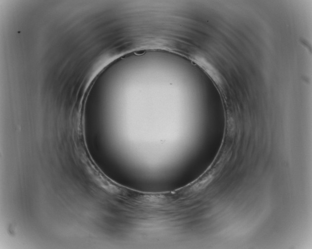 X0000099321052200805021309