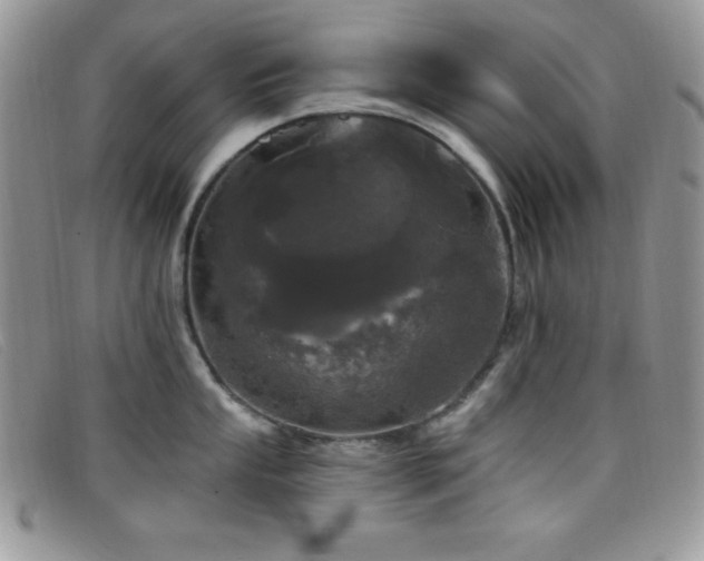 X0000099321053200805021309