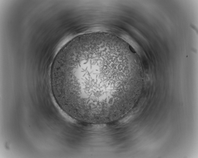 X0000099321055200805021309