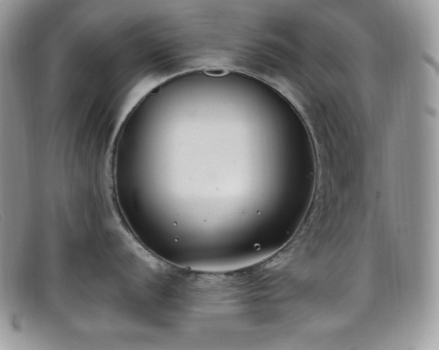 X0000099321056200805021309