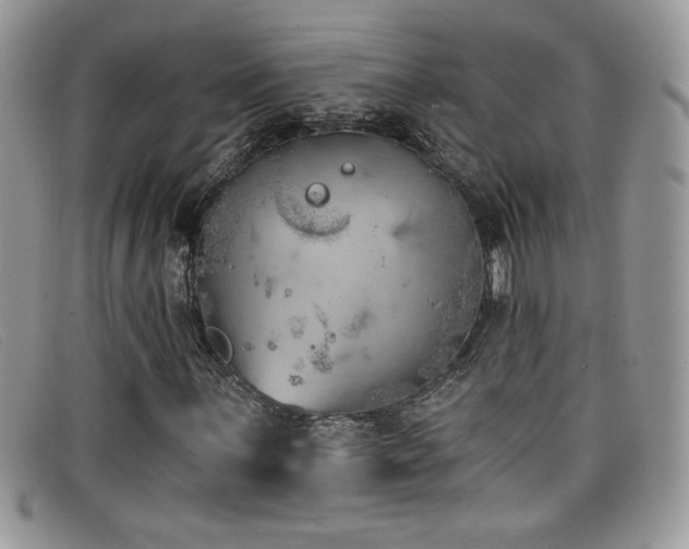 X0000099321059200805021309
