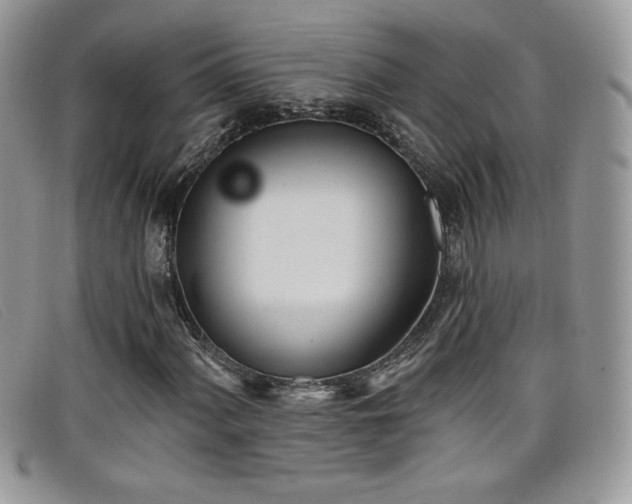 X0000099321060200805021308