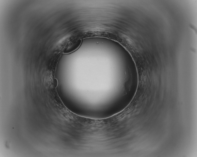 X0000099321062200805021308