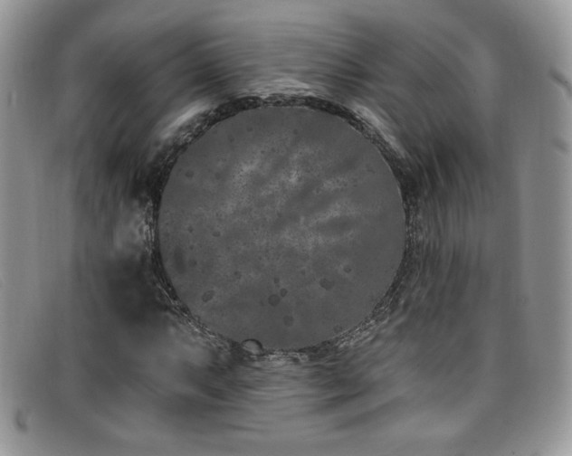 X0000099321063200805021308