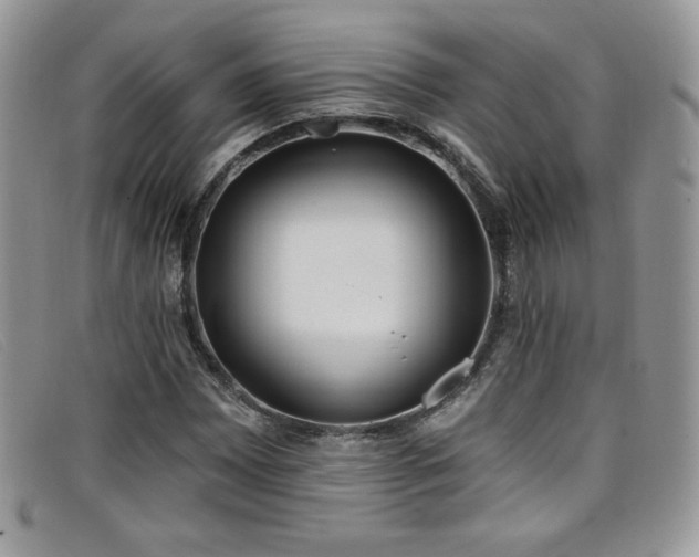X0000099321065200805021308