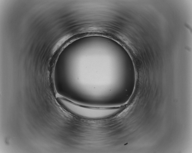 X0000099321066200805021308