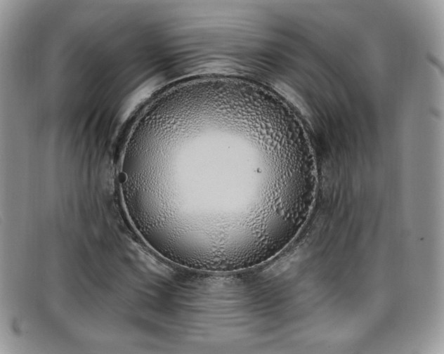 X0000099321067200805021308