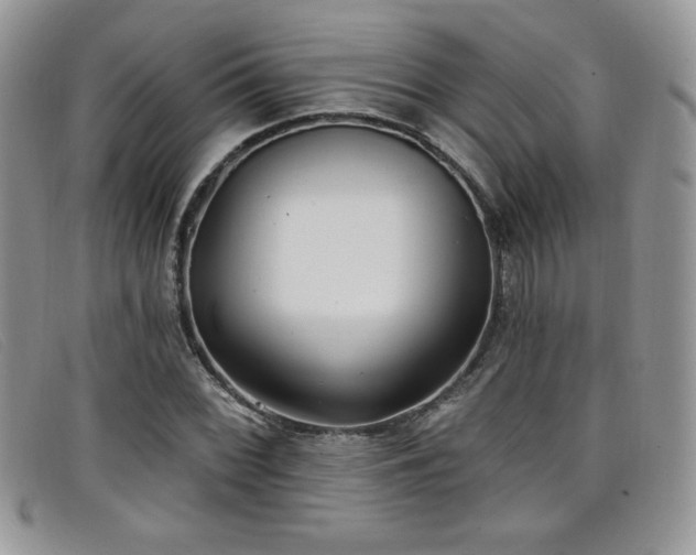 X0000099321068200805021308