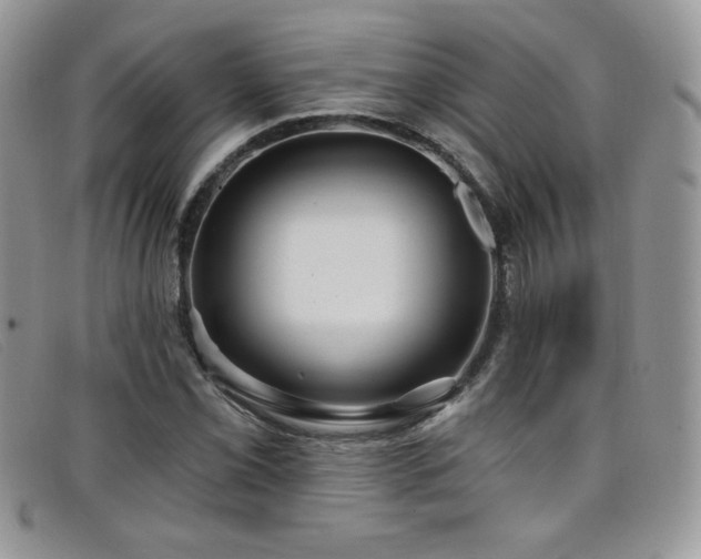 X0000099321069200805021308