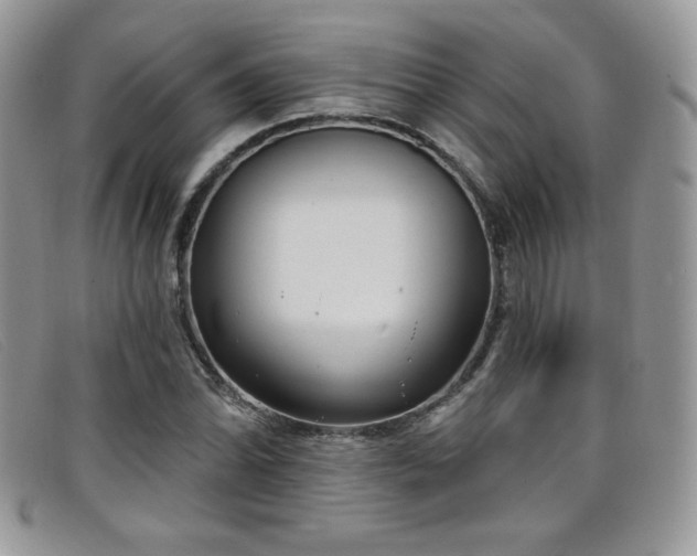 X0000099321070200805021308