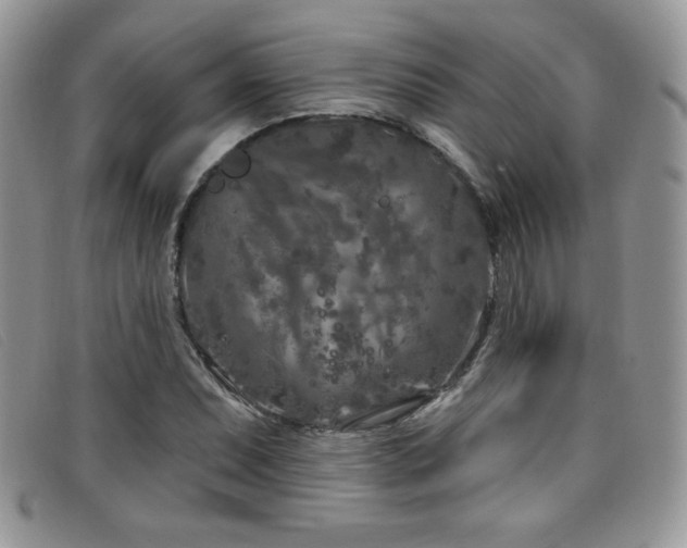X0000099321071200805021308