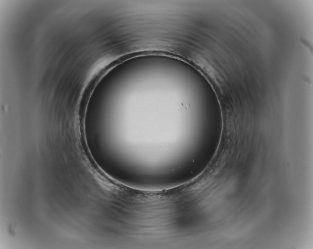 X0000099321072200805021308