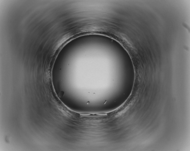 X0000099321073200805021308
