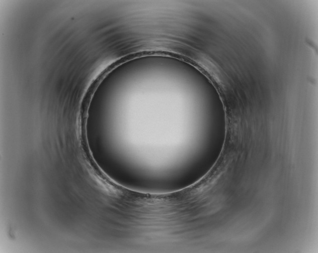 X0000099321076200805021308