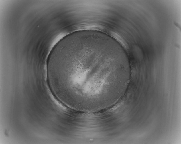 X0000099321079200805021308