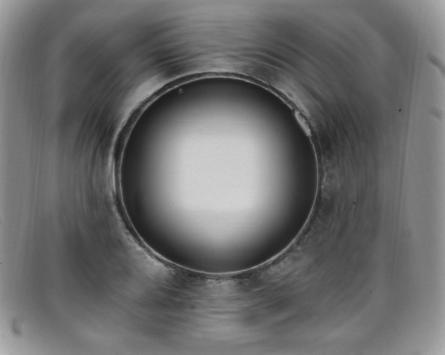 X0000099321080200805021308